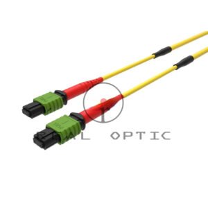 MTP/MPO TRUNKS 24