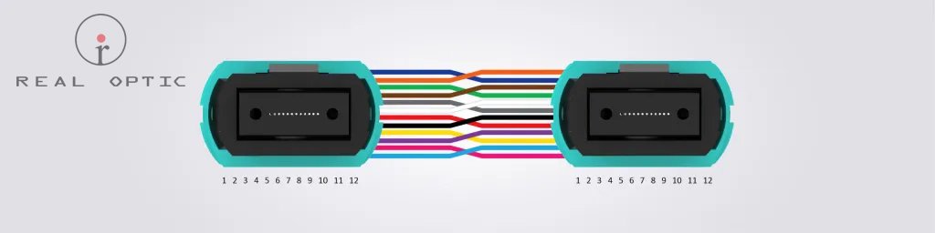 mtp-mpo-polarity